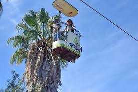 Jardim Zoológico de Lisboa